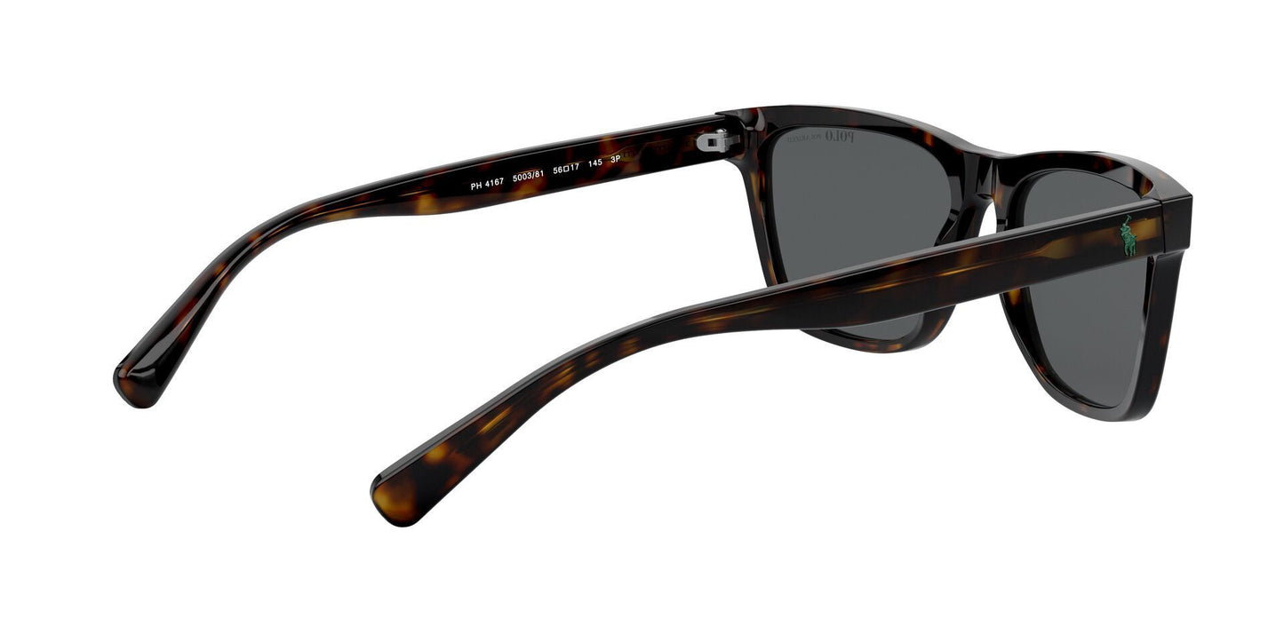 Lente Solar Polo Ralph PH4167 Havana