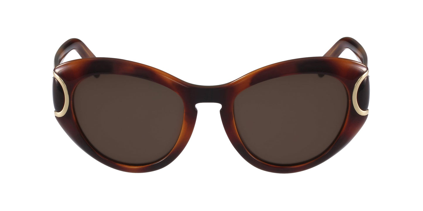 Lente Solar Salvatore Ferragamo SF0818S Havana