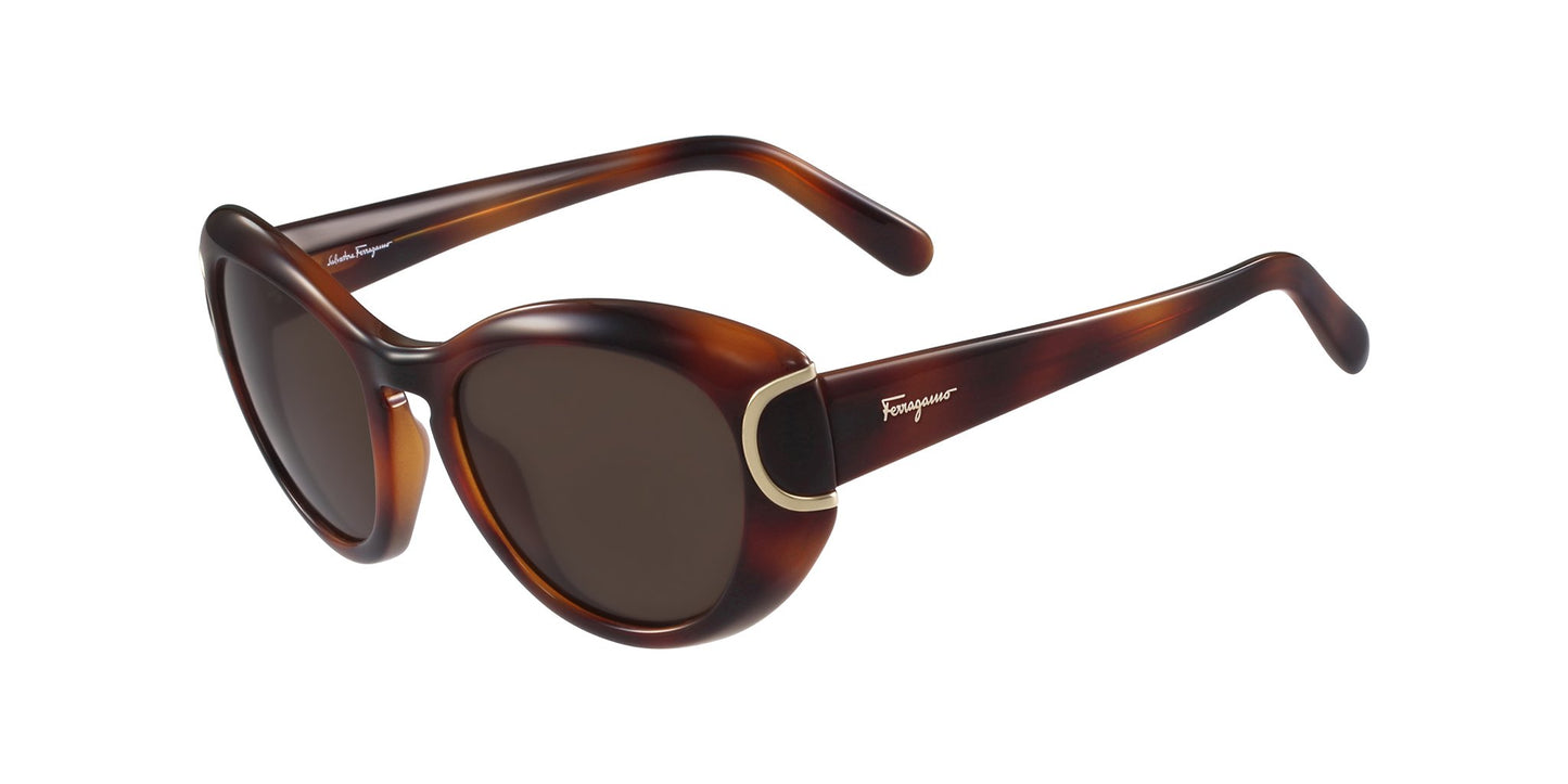 Lente Solar Salvatore Ferragamo SF0818S Havana