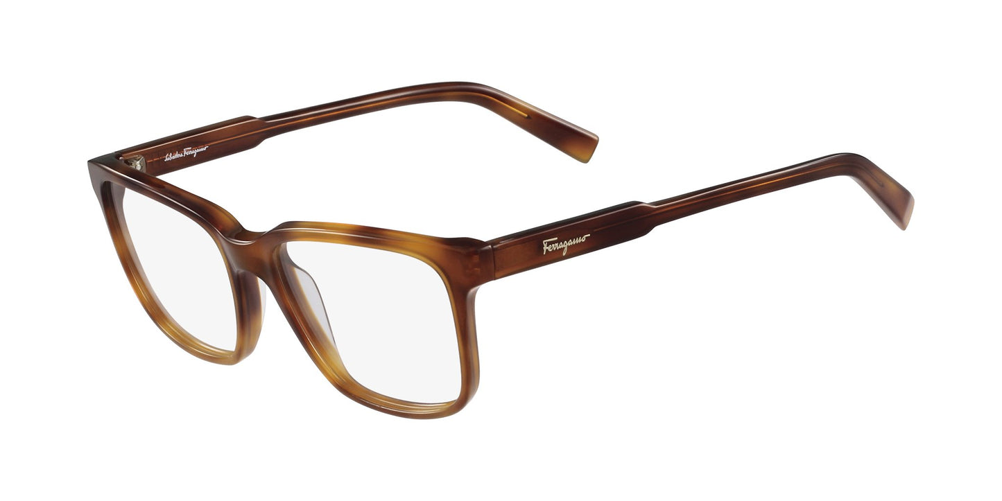 Lente Oftálmico Salvatore Ferragamo SF2753 Havana
