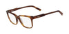 Lente Oftálmico Salvatore Ferragamo SF2753 Havana