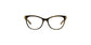 Lente Oftálmico Salvatore Ferragamo SF2763 Havana