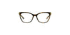 Lente Oftálmico Salvatore Ferragamo SF2763 Havana