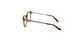 Lente Oftálmico Salvatore Ferragamo SF2763 Havana