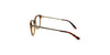 Lente Oftálmico Salvatore Ferragamo SF2763 Havana