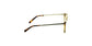 Lente Oftálmico Salvatore Ferragamo SF2763 Havana