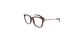 Lente Oftálmico Salvatore Ferragamo SF2773R Havana