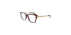 Lente Oftálmico Salvatore Ferragamo SF2773R Havana