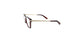 Lente Oftálmico Salvatore Ferragamo SF2773R Havana