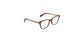 Lente Oftálmico Salvatore Ferragamo SF2773R Havana