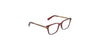 Lente Oftálmico Salvatore Ferragamo SF2773R Havana