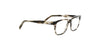 Lente Oftálmico Salvatore Ferragamo SF2780 Gris