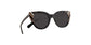 Lente Solar Salvatore Ferragamo SF867S Negro