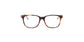 Lente Oftálmico Salvatore Ferragamo SF2803 Havana