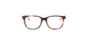 Lente Oftálmico Salvatore Ferragamo SF2803 Havana