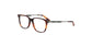 Lente Oftálmico Salvatore Ferragamo SF2803 Havana