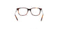 Lente Oftálmico Salvatore Ferragamo SF2803 Havana
