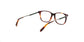 Lente Oftálmico Salvatore Ferragamo SF2803 Havana