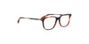 Lente Oftálmico Salvatore Ferragamo SF2803 Havana