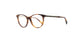 Lente Oftálmico Salvatore Ferragamo SF2805R Havana