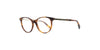 Lente Oftálmico Salvatore Ferragamo SF2805R Havana