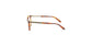 Lente Oftálmico Salvatore Ferragamo SF2805R Havana
