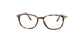 Lente Oftálmico Salvatore Ferragamo SF2816 Havana