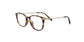 Lente Oftálmico Salvatore Ferragamo SF2816 Havana