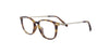Lente Oftálmico Salvatore Ferragamo SF2816 Havana