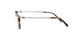 Lente Oftálmico Salvatore Ferragamo SF2816 Havana