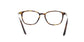Lente Oftálmico Salvatore Ferragamo SF2816 Havana