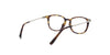 Lente Oftálmico Salvatore Ferragamo SF2816 Havana