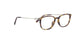 Lente Oftálmico Salvatore Ferragamo SF2816 Havana