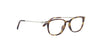 Lente Oftálmico Salvatore Ferragamo SF2816 Havana