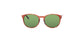 Lente Solar Salvatore Ferragamo SF911S Café