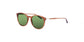 Lente Solar Salvatore Ferragamo SF911S Café