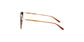 Lente Solar Salvatore Ferragamo SF911S Café