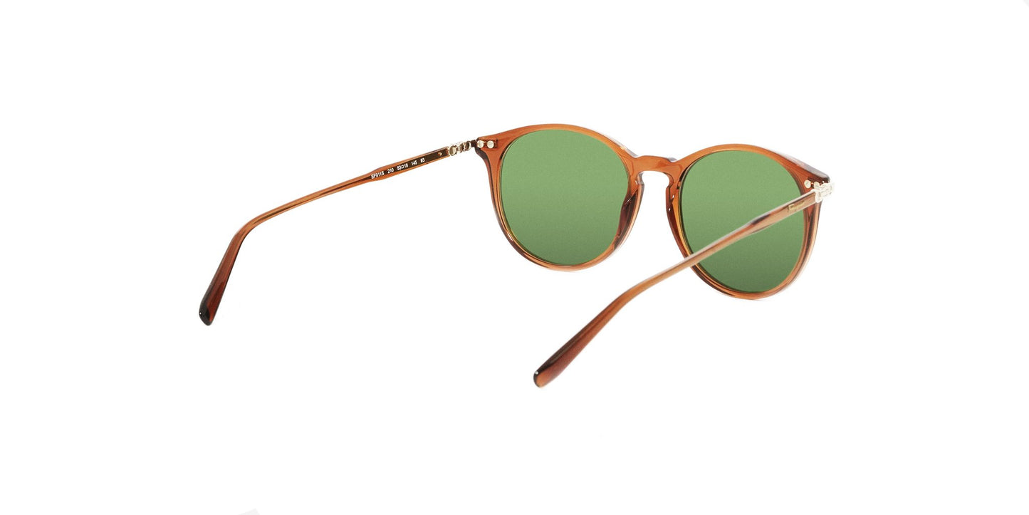 Lente Solar Salvatore Ferragamo SF911S Café