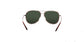 Lente Solar Salvatore Ferragamo SF181S Havana