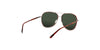 Lente Solar Salvatore Ferragamo SF181S Havana