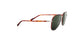 Lente Solar Salvatore Ferragamo SF181S Havana