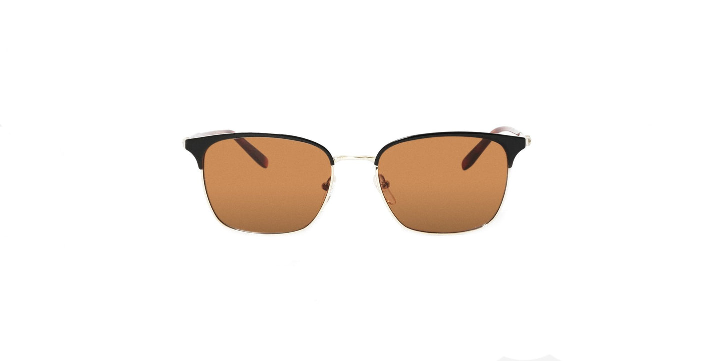 Lente Solar Salvatore Ferragamo SF180S Negro