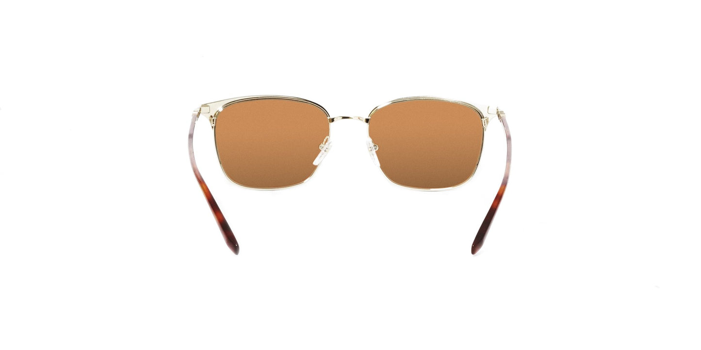 Lente Solar Salvatore Ferragamo SF180S Negro