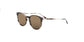 Lente Solar Salvatore Ferragamo SF911S Havana