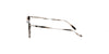 Lente Solar Salvatore Ferragamo SF911S Havana