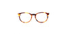 Lente Oftálmico Salvatore Ferragamo SF2823 Havana