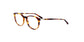 Lente Oftálmico Salvatore Ferragamo SF2823 Havana