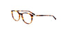 Lente Oftálmico Salvatore Ferragamo SF2823 Havana