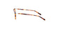 Lente Oftálmico Salvatore Ferragamo SF2823 Havana