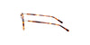 Lente Oftálmico Salvatore Ferragamo SF2823 Havana